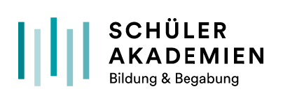 DSA Logo